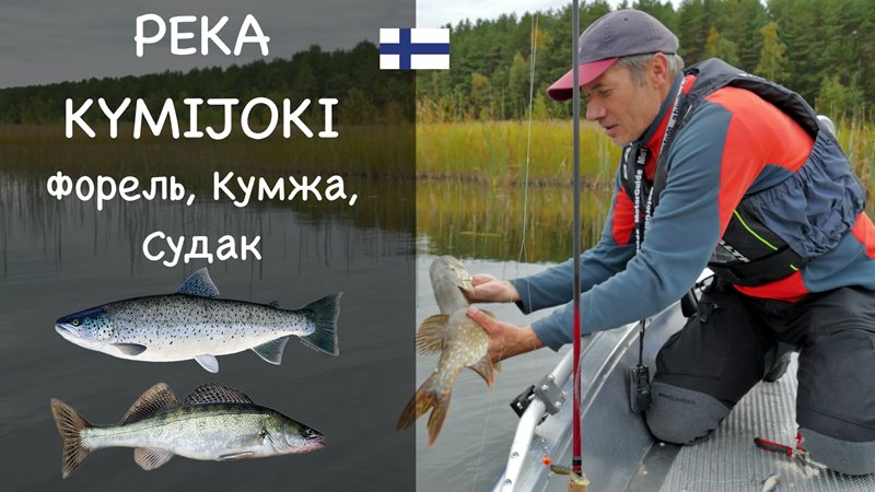 Рыбалка в Финляндии. Река Kюмийоки. Отчет о рыбалке